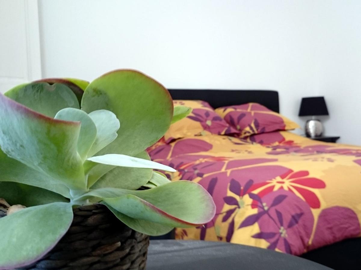 Le Clos Chez Michel Montpellier Dış mekan fotoğraf