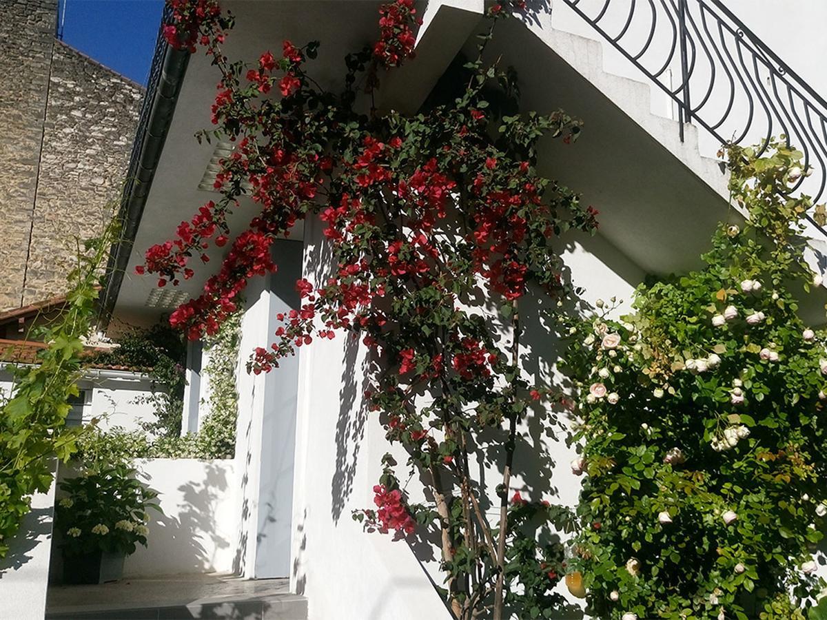 Le Clos Chez Michel Montpellier Dış mekan fotoğraf